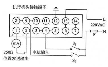 DKZ直行程電動執(zhí)行機構(gòu)接線端子