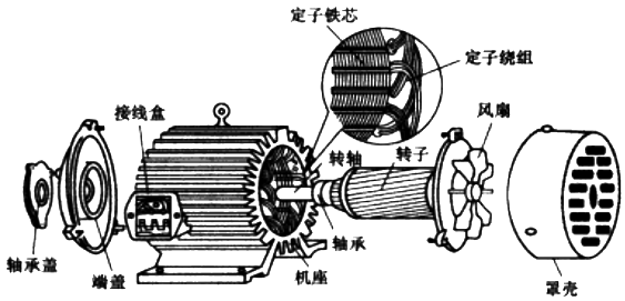 三相異步電動機(jī)的結(jié)構(gòu)